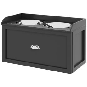 Pet Feeding Station with Storage