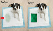 Hide A Pee Pee Spot Covers for Dog Pee Pads | 1 Mellow Yellow Paw Prints X Starter Kit