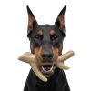 Antler Nylon Chew Bone