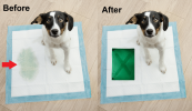 Hide A Peeâ„¢ Pee Spot Covers for Dog Pee Pads | 1 Red Paw Prints X Starter Kit