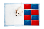 Hide A Pee Pee Spot Covers for Dog Pee Pads | 1 Mellow Yellow Paw Prints X Starter Kit