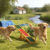 Platform Equipment Run Game Toy Wooden Dog Agility Seesaw for Balance Training and Exercise