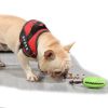 Food Dispensing Bite-Resistant Dog Toy