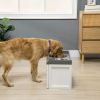 Raised Pet Feeder with Storage Drawer and Two Steel Bowls