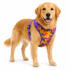 Wrap and Snap Choke Free Dog Harness by Doggie Design