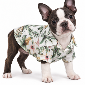 Hawaiian Beach Camp Shirt (colour: Coconut shirt white, size: XS (about 2-3 kg pet))