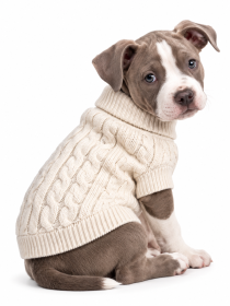 Combed Cotton Cable Knit Dog Sweater (Color: Oatmeal, size: XX-Small)