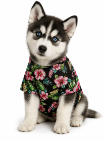 Paradise Nights Hawaiian Dog Shirt (Product Size: XXS)