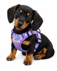 New style dog chest strap vest type big dog chest strap explosion-proof flush walking dog rope reflective pet traction rope (Product Color: Purple, Specification (L * W): M)