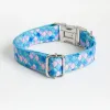 Blue and Pink Mermaid Collar