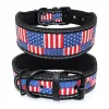 Patriotic Dog Collar