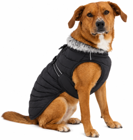 Alpine Extreme Weather Puffer Coat (Color: Black, size: X-Small)