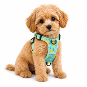 Clip On Vest Style Reflective Harness (Specification (L * W): M, Product Color: Lake blue)