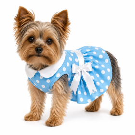 Blue Polka Dot Dress with Matching Leash (Product Size: XS)