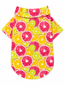 Citrus Slice Hawaiian Dog Shirt (Product Size: XXS)