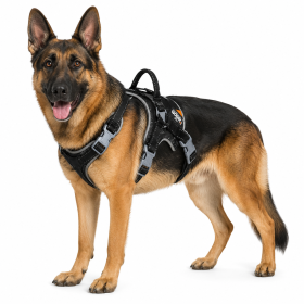 Dog Helios 'Scorpion' Sporty High-Performance Free-Range Dog Harness (Color: Black, size: large)
