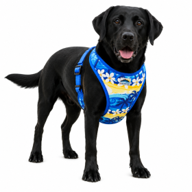 Wrap and Snap Choke Free Dog Harness by Doggie Design (Color: Catching Waves, size: X-Small)