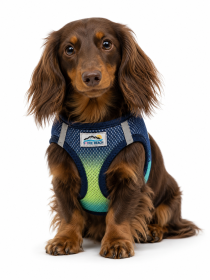 American River Northern Lights Ombre Dog Harness (Product Size: XXS)