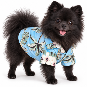 Hawaiian Beach Camp Shirt (colour: Coconut shirt sky blue, size: XS (about 2-3 kg pet))