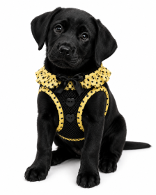 American River Choke Free Dog Harness Polka Dot Collection (Color: Yellow and Black Polka Dot, size: XX-Small)