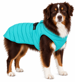 Alpine Extreme Weather Puffer Coat (Color: Arcadia, size: X-Small)