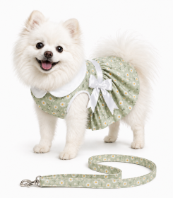 Mint Green Daisy Harness Dress with Matching Leash for Small and Medium Dogs (Product Size: XS)