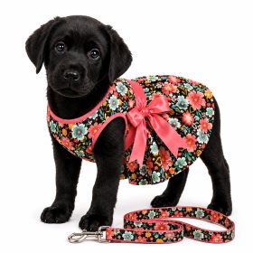 Blooming Blue and Peach Floral Harness Dress with Matching Leash for Small and Medium Dogs (Product Size: XS)