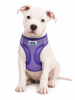 American River Paisley Purple Dog Harness