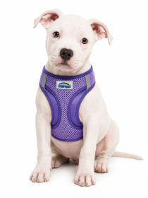 American River Paisley Purple Dog Harness (Product Size: XXS)
