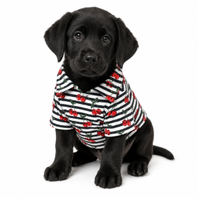 Hawaiian Camp Shirt (Color: Cherry Stripe, size: XX-Small)