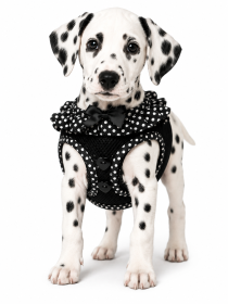 American River Choke Free Dog Harness Polka Dot Collection (Color: Black and White Polka Dot, size: XX-Small)