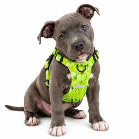 Clip On Vest Style Reflective Harness (Specification (L * W): M, Product Color: Green)