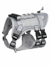 Universal Outdoor Dog Harness With Pet Leash And Snap Shackle Hitched Loop For Dogs