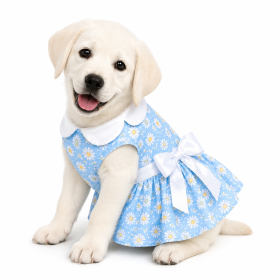 Blue Daisy Dog Dress with Matching Leash (Product Size: XS)