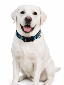 Pet supplies Digital printing Pet collar Bohemian collar Ethnic dog collar (Color: Bohemian yellow, size: L)