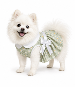 Mint Green Daisy Dog Dress with Matching Leash (Product Size: XS)
