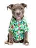 Surfboard and Palms Hawaiian Dog Shirt