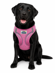 American River Candy Pink Dog Harness (Product Size: XXS)