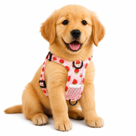 Clip On Vest Style Reflective Harness (Specification (L * W): M, Product Color: Pink)