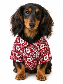 Hawaiian Camp Shirt (Color: Aloha Red, size: XX-Small)
