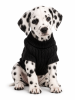 Combed Cotton Cable Knit Dog Sweater