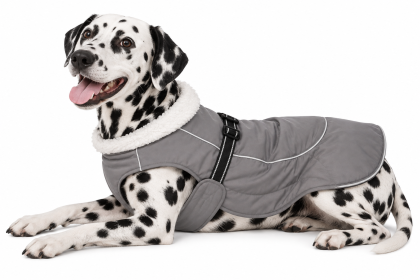 Alpine Tuf Terrain Dog Coat (Color: Dried Sage, size: X-Small)