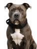 Tactical Pet Collar; Dog Collar With Handle; Military Heavy Duty Dog Collars For Medium Large Dogs