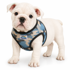 American River Blue Camo Harness (Product Size: XS)