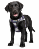 American River Purple Camo Harness