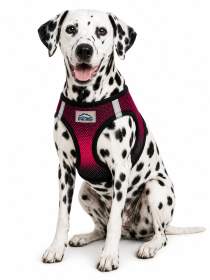 American River Sunset Pink Ombre Dog Harness (Product Size: XXS)
