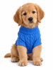 Combed Cotton Cable Knit Dog Sweater