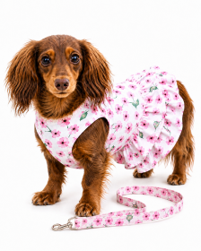 Spring Wildflower Harness Dress with Matching Leash for Small and Medium Dogs (Product Size: XS)