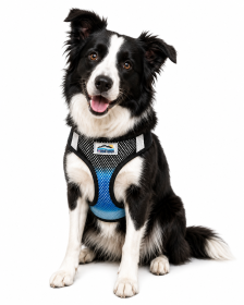 American River Midnight Sky Ombre Dog Harness (Product Size: XXS)