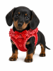American River Choke Free Dog Harness Polka Dot Collection